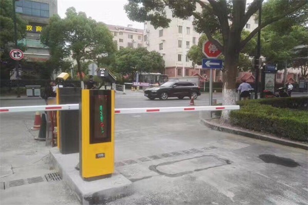 蜜桃视频在线免费观看技術