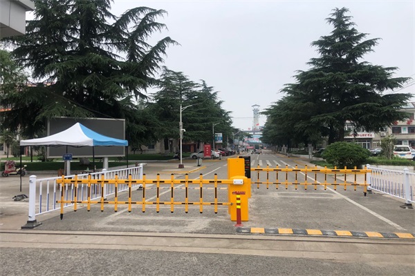 蜜桃视频在线免费观看