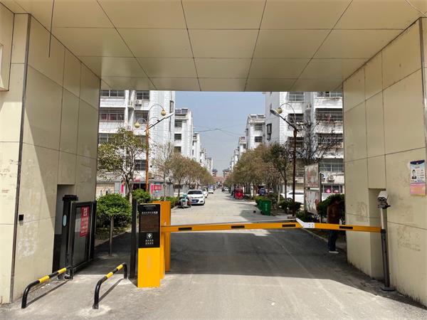 蜜桃视频在线免费观看