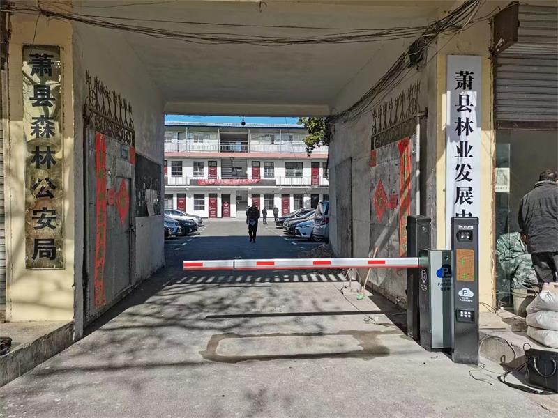 蕭縣森林公安局蜜桃视频在线免费观看係統