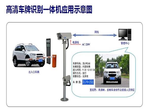 徐州蜜桃视频在线免费观看公司