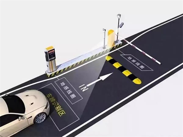 徐州蜜桃视频APP网站下载費用